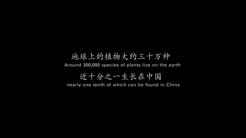 .The.Journey.of.Chinese.Plants.2019.E01.1080p.WEB-DL.H265.AAC-PTerWEB.mp4_20240422_170855.331.png