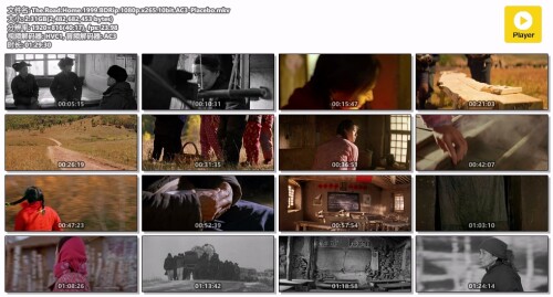 The.Road.Home.1999.BDRip.1080p.x265.10bit.AC3-Placebo.mkv.jpeg