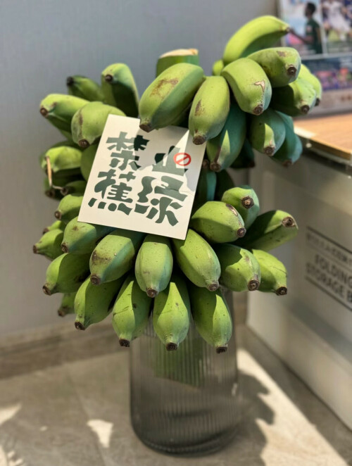 68b8855f0234c5cf510234947d26691.jpeg