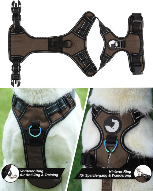Hundegeschirr-3.jpeg