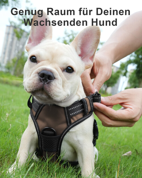 Hundegeschirr-7.jpeg