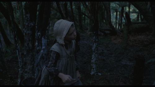 The-Piano-1993-CC-USA-BluRay-Remux-UHD-2160p-DTS-HDMA5.1-CHD.mkv_20240717_211447.127.png