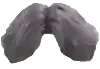 logo.webp