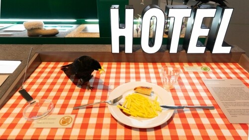 DSC07262.jpeg