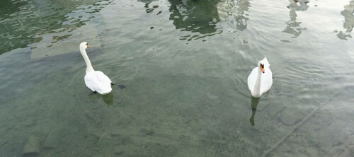 DSC07268.jpeg