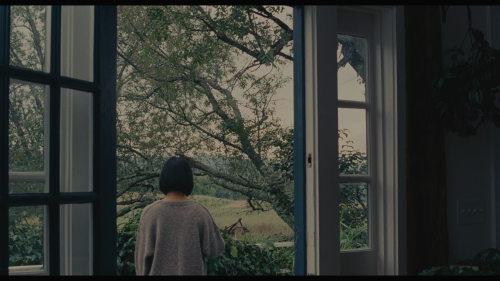 Past.Lives.2023.UHD.BluRay.2160p.REMUX.HEVC.DoVi.HDR.DTS-HDMA5.1-CHD.mkv_20240813_231157.168.png