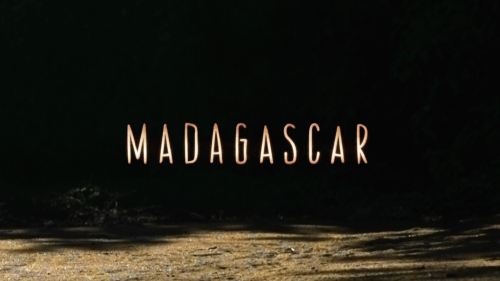 Madagascar.S01E01.2011.BluRay.1080i.REMUX.AVC.DTS-HDMA2.0-CHD.mkv_20240820_184751.216.png