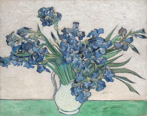 met_vincent_van_gogh_irises.jpeg