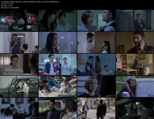 The.Bridge.S01E01.Episode.1.1080p.NF.WEB-DL.DDP.5.1.H.264-CHDWEB.screenshots.png