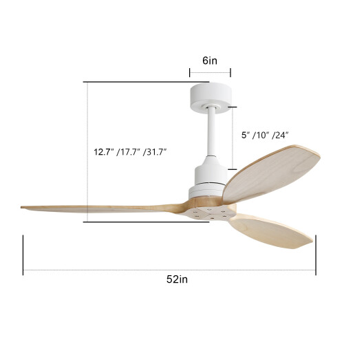 1-55ed088f57931573c.jpeg