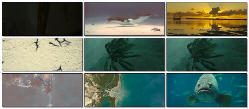 Oceans.2010.Blu-ray.1080p.X264.AC3.DualAudio-YellowBeastbeAst.mkv.jpeg