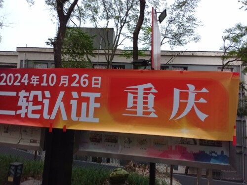 IMG_20241026_080541.jpeg