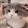 6792bf28e98139091fb50a98afd22d46.gif