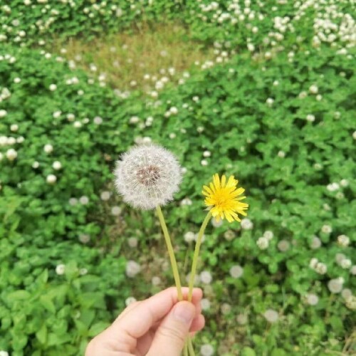 15260c3a-1a7a-464f-a9ae-df16b0ccd620.jpeg
