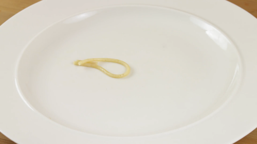 stop_motion_start0.png