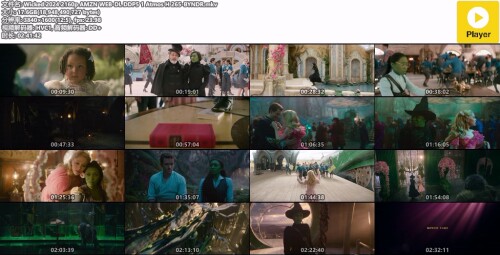 Wicked-2024-2160p-AMZN-WEB-DL-DDP5-1-Atmos-H-265-BYNDR.mkv.jpeg