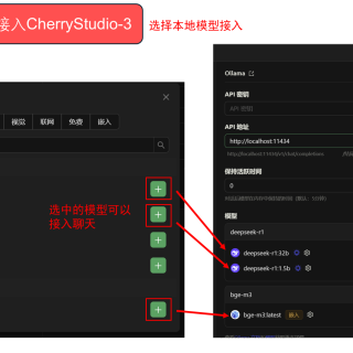 Step2_CherryStudio_3