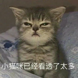 Screenshot_20250224-200223