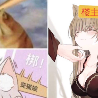 Screenshot_20250224-201040