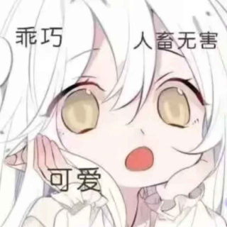 Screenshot_20250224-201554