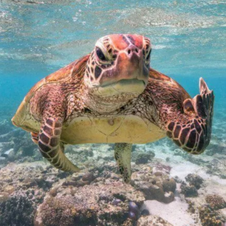 Screenshot_20250224-203244