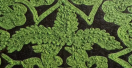 320bf120d895bb5ef1fb2f302ceace01.png