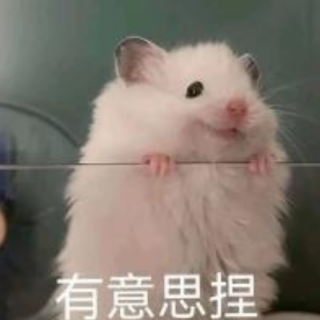 Screenshot_20250225-110314