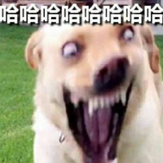 Screenshot_20250225-111041