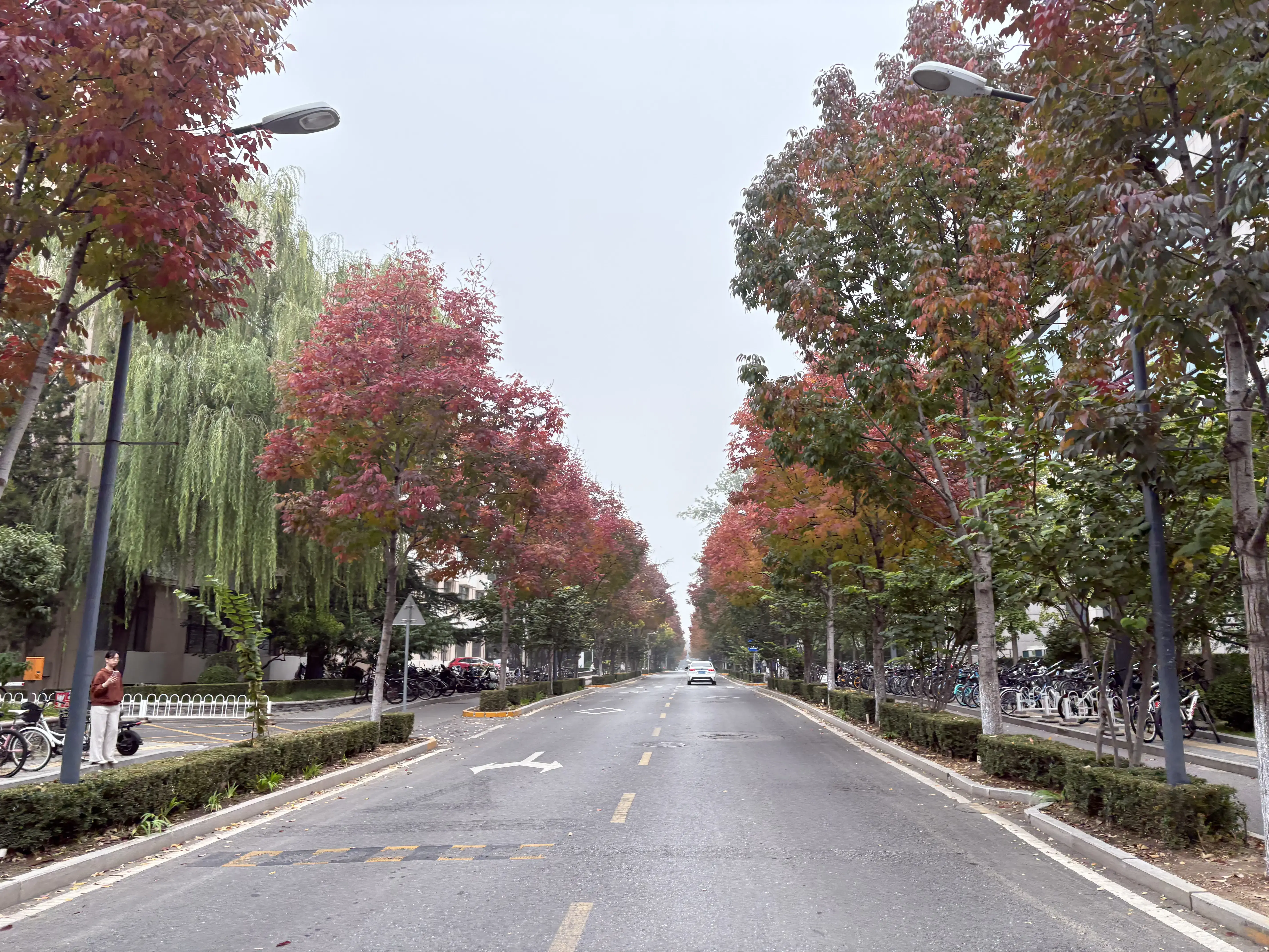 清华参观