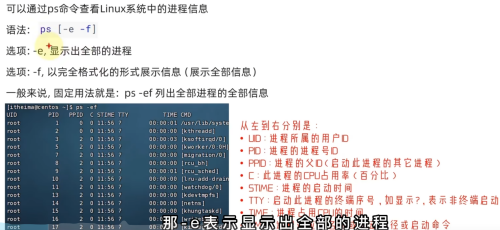 image5d5cd08811f5778a.png