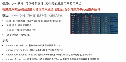 image981ae743d4d61d27.png