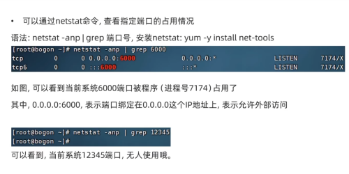 imageb1fe589eb6032869.png