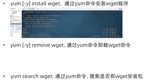 imageb7535c0302d18d7e.png
