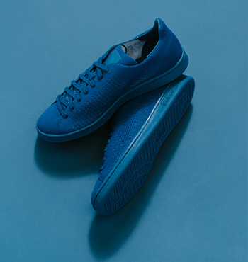 blue_shoes1.png