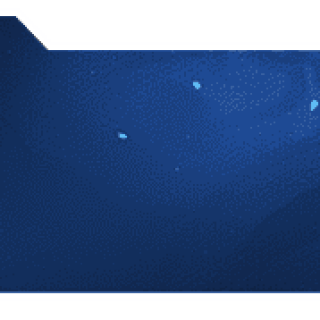 91