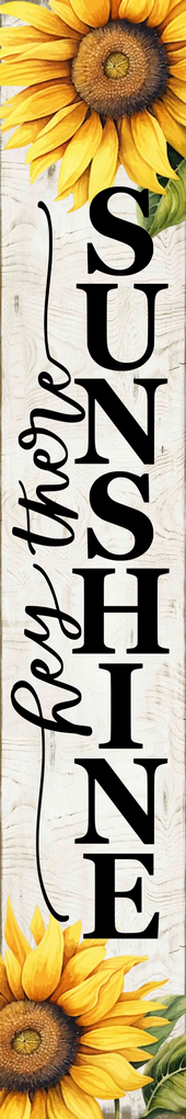 xwelsiwe250403vwe-12.png
