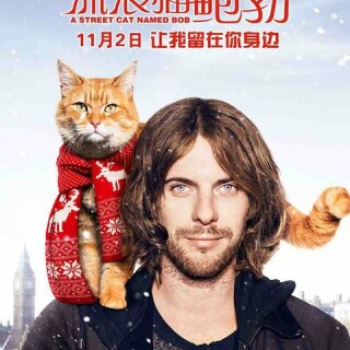 31786b9a8a1a22d9f1aabba7a23f14e7