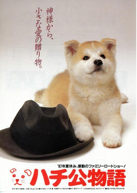 478f87b5d6d89b08befe262f7a7c2ae2.jpeg