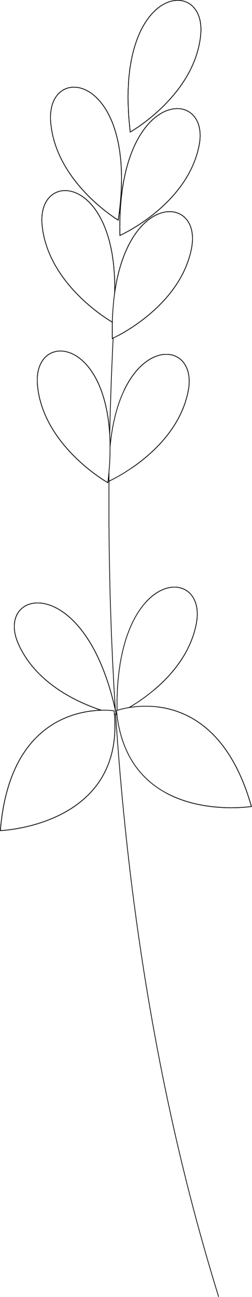 20250419230548464.png