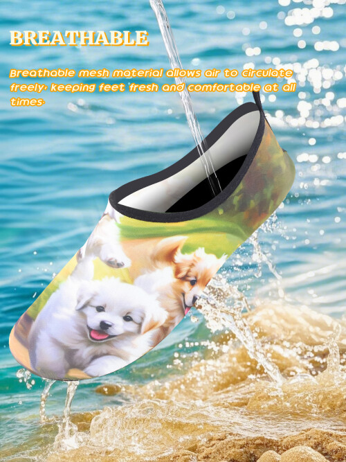 -510667af8c2ee12f4.jpeg