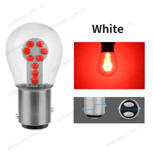 19.png