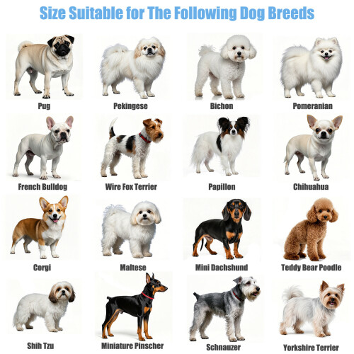 breeds.jpeg