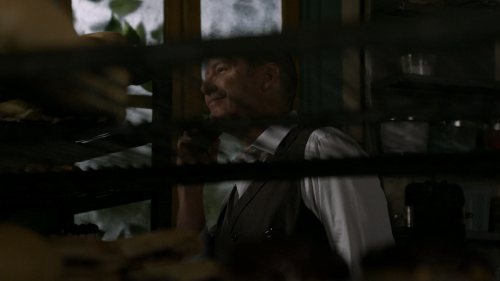 The.Blacklist.S04E01.Esteban.2160p.NF.WEBRip.DDP5.1.x264-NTb.mkv_20250427_082443.833.png
