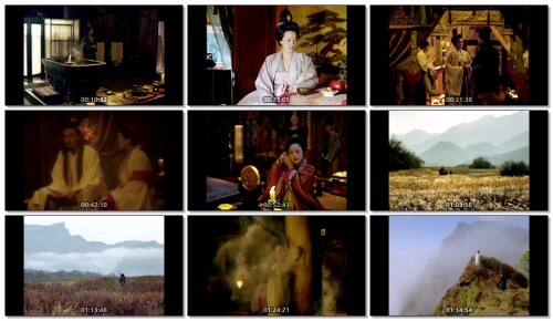 .The.Assassin.2015.BD.MiniSD-TLF.jpeg