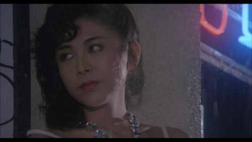 Gemini-Woman-1984-1080i-HDTV-MPEG-2-AAC-nhkfans.mkv_20250527_141315.624.png