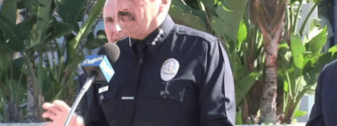 IMG_0226.gif