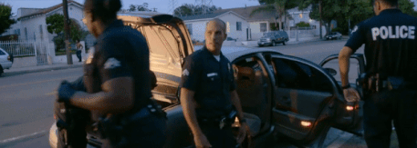 IMG_0238.gif