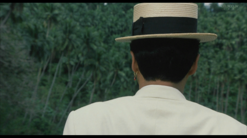 Harimao-1989-1080i-HDTV-MPEG-2-AAC-nhkfans.ts_20250615_183541.777.png