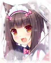 11.gif