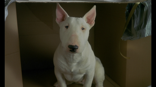 Baxter.1989.MULTI.COMPLETE.BLURAY-FULLBRUTALiTY_20250701_095910.612.png
